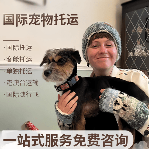 忻州市国际宠物托运到阿根廷宠物入境规定和要