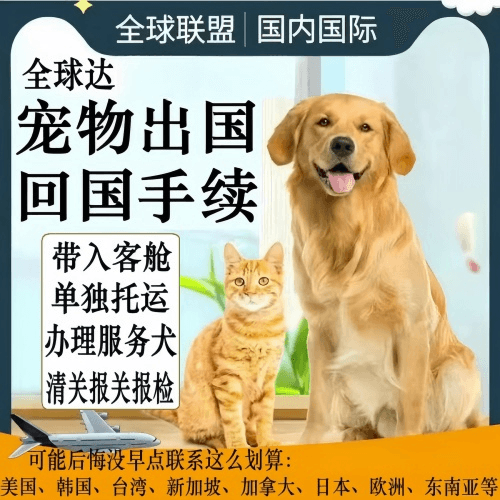 忻州市宠物托运到柬埔寨宠物入境规定和要求