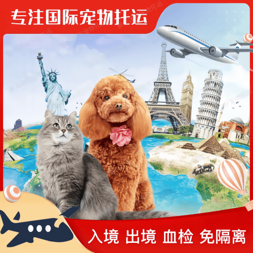 忻州市宠物托运到美国宠物入境最新规定和要求