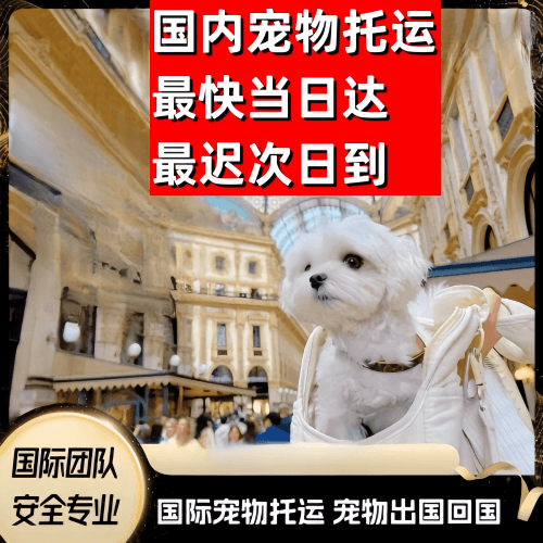 忻州市到澳大利亚（澳洲）宠物入境规定和要求